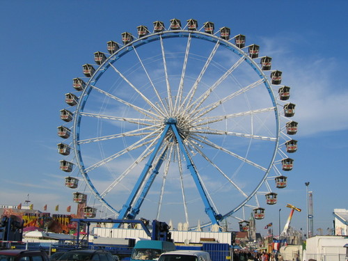 iOktoberfest's profile picture. 