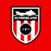 Blackcat (@safcftm21) Twitter profile photo