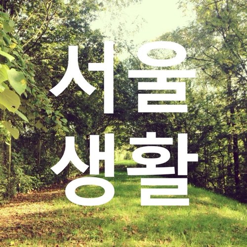 뉴욕에는 뉴요커, 서울에는 서울생활 / analrealism vol. 1 관련문의는 analrealism@gmail.com 으로 주세요.