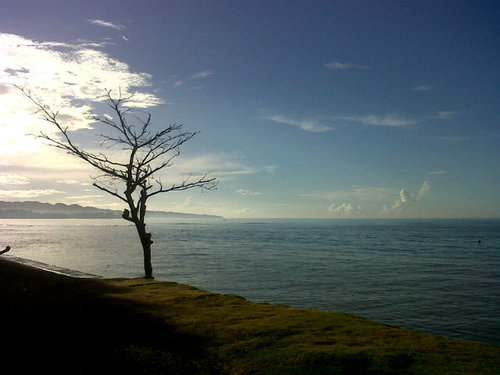 akopabling's profile picture. A broken-hearted man's alter-ego. Crying over spilled milk. Full of pain, sorrow and agony. Self-pledged masochist.