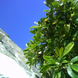 FrancineDeroyan's profile picture. Traductrice littéraire anglais-italien-français. YA -Comédie- Science fiction - Romance contemporaine- Erotique