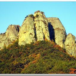 wangguy2's profile picture. 