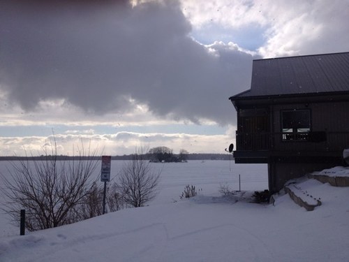 DohaShahin's profile picture. 