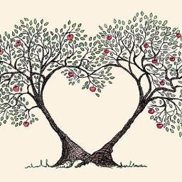 Forest School Leader, Beach School Leader and Outdoor Learning Mentor in the Foundation Phase. Please send me a follow request!