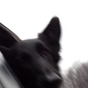 William formoso - @WFormoso - Twitter