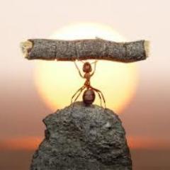 AndySoyars's profile picture. Hoping to gently make the world a better place! Admitted Jesus freak with many flaws...dad, husband, author, songwriter, slightly skewed...