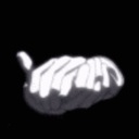 Daniela Harper - @harperjtki - Twitter