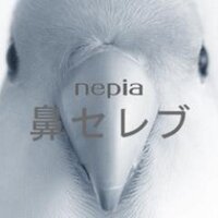 万年鼻セレブ (@mannenhanaceleb) 's Twitter Profile