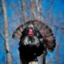 Todd Holbrook - @htholbrook - Twitter