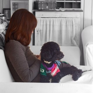 いつもニコニコ◡̈♥︎愛犬クック&ロペスの看板犬のお世話係でワンコイベントにあちこち出没します◡̈❁好き→Mr.Children、小田和正さん、DIY、インテリア、古道具、ガーデニング♡ 無言フォローごめんなさい、いいね♡は共感、応援のしるしです♡よろしくお願いします(◦′ᆺ‵◦) ♬° ✧