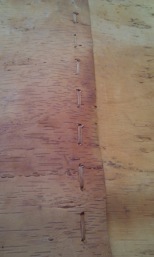 OJIBWEMO's profile picture. Ojibwe Language - words, phrases, place names,        sometimes culture