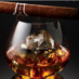 Sipping Rums (@sippingrum) Twitter profile photo Sipping Rums (@sippingrum) Twitter profile photo