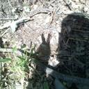 Sara Smoot - @Sara292 - Twitter