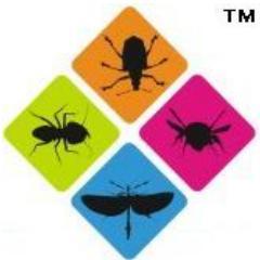 Official Twitter Account of Pest Clear World.We are Pest Control service Provider, We operate in all sectors like Residential, Commercial and Industrial.