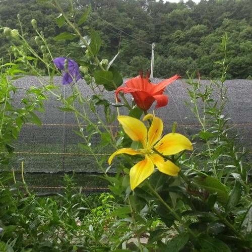 아름다운 지역사회를 위하여
항상 노력하기