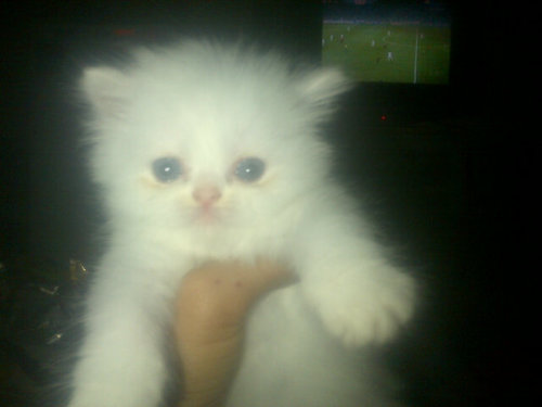 NmOziaddai's profile picture. Gt