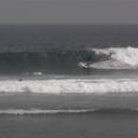 Mark Walters - @Mr_Toad_Tweets - Twitter