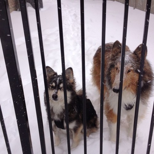 weeze6611's profile picture. 