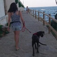 Aida Rivera - @aidariveravila Twitter Profile Photo