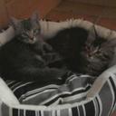 Caitlin Heaney - @KT_heaney - Twitter