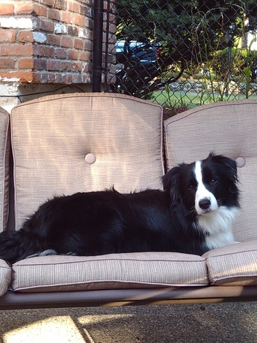 jake6688's profile picture. 