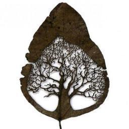 Il faut vivre seul et libre comme un arbre 

et fraternellement comme une forêt


(Nazim Hikmet)