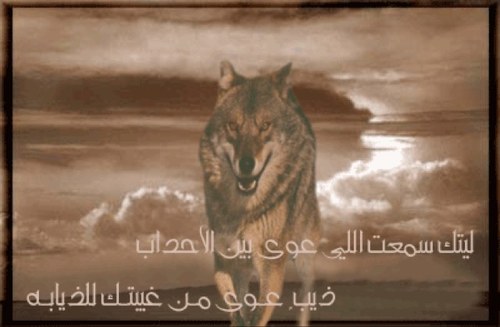 ٱحِﺳ̶̭͠ٱښ ﻣ̉إﭑ̲ ٺـﻓ͠هـﻣ̉ۅنہ'هُـ