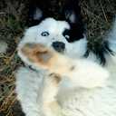 manuel toraño mújica - @manuel_serdio - Twitter