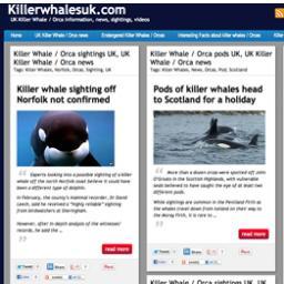 Killerwhalesuk's profile picture. UK Killer Whale / Orca information, news, sightings, videos