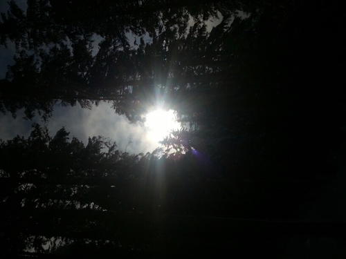 gohstrider7's profile picture. 