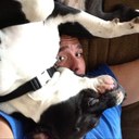 Daniel Ripley - @DanielRipley14 - Twitter