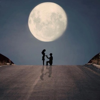 ELZouhairy's profile picture. 