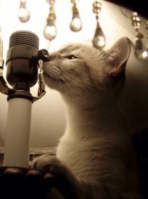 blue_05_12's profile picture. 