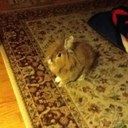 beth egan - @baegan - Twitter