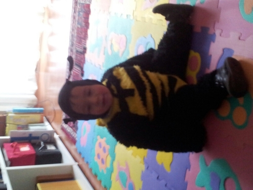 TommasoCrocilli's profile picture. 