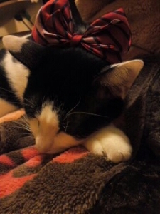 h1y0k0p1y0's profile picture. 