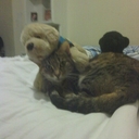 Daniel bolea alonso - @DaniBA123 - Twitter