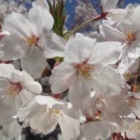 こう (@gt3939) 's Twitter Profile