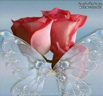 student / living in dubai / follow me & i'll follow back