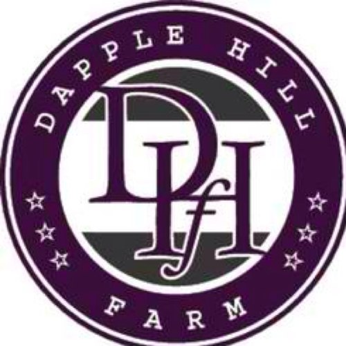 Dapple Hill offers top quality services at an affordable price. Sara has established a safe, relaxed, fun and family friendly atmosphere that everyone can enjoy