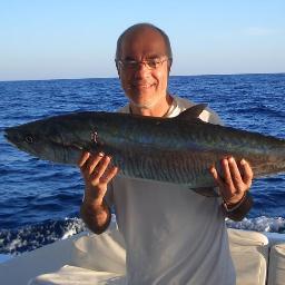 wagdy235 Profile Picture