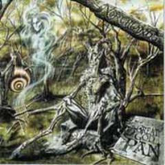 papatallian's profile picture. Join me on a path of enlightenment, learning, light and love.