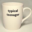 Typical Teenager (@13through19) Twitter