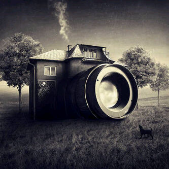 EIdahor's profile picture. The Progession