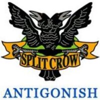 Split Crow Nish (@splitcrow_nish) 's Twitter Profile
