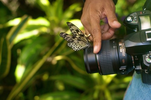 photographer Owner Burton photography