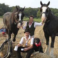 Old Hall Farm (@oldhallfarm1) 's Twitter Profile