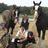 OldHallFarm1's profile image