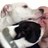 BigTimb3r's profile image