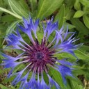 Dan Chevalier - @dan_orange - Twitter